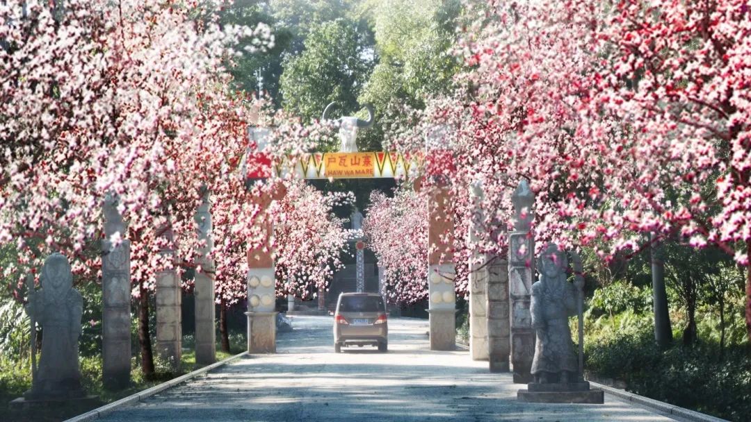 微信图片_20230328135443