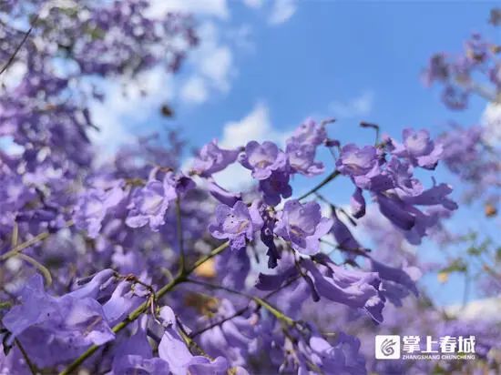 微信图片_20230506141824 微信图片_20230506141824