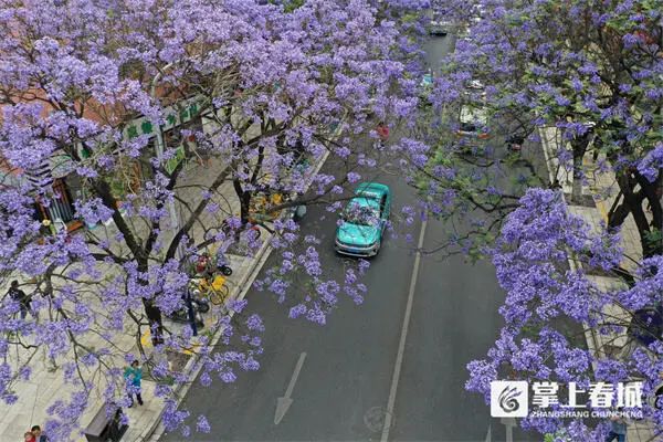 微信图片_20230506141919