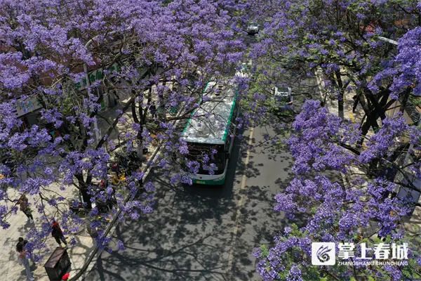 微信图片_20230506142242