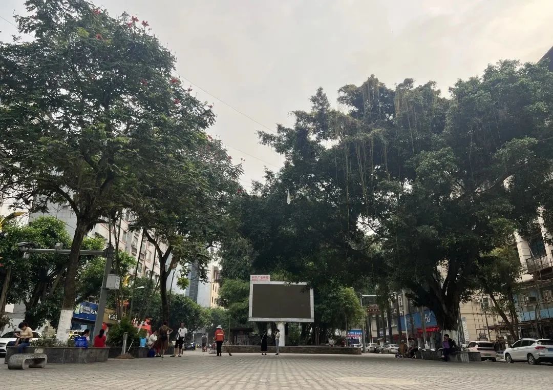 微信图片_20230512115451