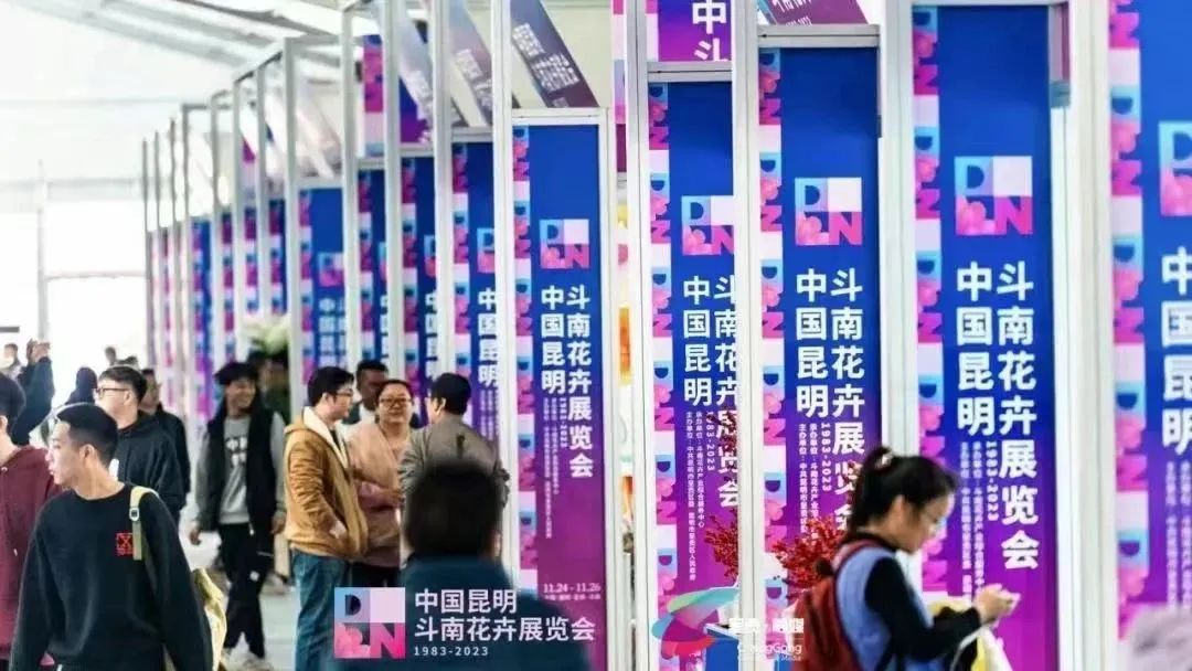 微信图片_20231215085959